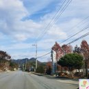 경's 호스텔 | 월악산유스호스텔 207호, 제천 숙소 추천, 꼼덕's 인생숙소