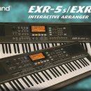 로렌드 EXR-5 ((판매 완료)) 이미지