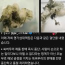 삼대전가 | 명가삼대떡집 쑥버무리 벌레 스레드(쓰레드) 논란! 인스타 사과문 대응 대처, 대중 응원 이유?