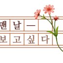 스테이 오월 이미지