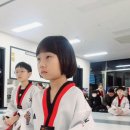 진스블랙벨트 태권도장 네이버블로그