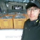 소라농장 네이버블로그