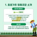 호호가든협동조합