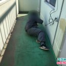 효가로 이미지