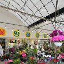 꽃망울농원 | 인천 계양 꽃다발 추천 꽃망울 농원 (내돈내산, 솔직후기)