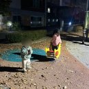 우성목장 2 이미지