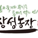 장성 부자새싹인삼
