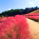 가산수피아정원 Daum카페