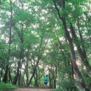 학촌유치원 | 트레일런 초보자를 위한 화성 봉담 금덩산 수기봉 효암 바위