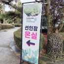 용천카 | 제주도2026미천굴 용천동굴 식물원 동백꽃있는 제주여행코스 <일출랜드>테마파크