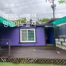 애견동반 밀양테마수영장 이미지