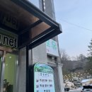 덕유산 리조트스키장 무주펜션포유 206호 산딸나무방 2인 후기