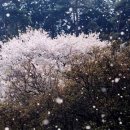 디자인봄 이미지