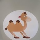 더프라임평생교육원