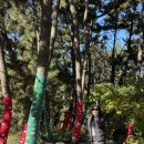 태안-안면-비상-14 | 우당탕탕 신.최.고 태안 1박 2일 여행 😊