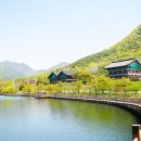 금모래마당 펜션 이미지