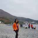 동부면 학동동백군락지
