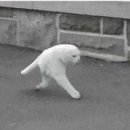양양분식카페