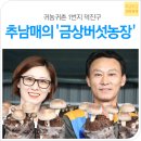 금상농장 이미지