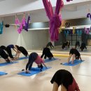 해피요가 이미지