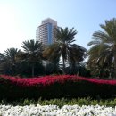 두바이 버즈 이미지