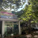 청수골 민박 | 경주계곡 평상이 있어 물놀이가 가능한 수림산장