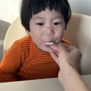 미세스커피 | 미세스묵 - 묵푸딩 파는 제주 푸딩 가게