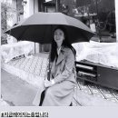 언제나리즈 이미지