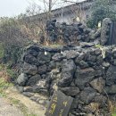 대흘에온 | 제주스테이대흘 B동, 제주도 펜션 추천 제주 초천 숙소 내돈내산 후기 제주스테이대흘