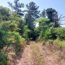 온평리-7 이미지