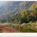 삼거휴게소 이미지