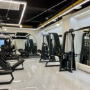 모션업피티 이미지