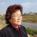 김정조