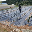 유계리 농장 이미지