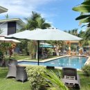 할로나J 이미지