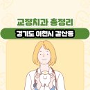 이솜치과의원 | 경기도 이천시 갈산동 교정치과 총정리