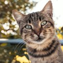 THE GARAGE 이미지