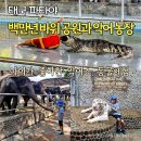 파타야 악어농장 백만년 바위공원 티켓 입장료 먹이주기체험