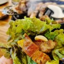 작전목장 이미지