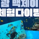 제이스쿠버