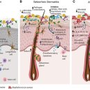 미소로한의원 이미지