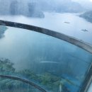 비바체레스토랑 이미지