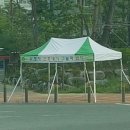 신호대기 횡단보도 이미지