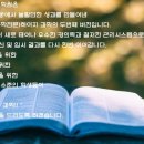 코하과학학원 이미지