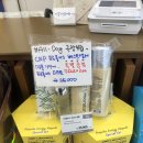 네이처컬렉션기장
