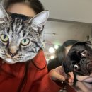 으리PC방 이미지