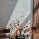 반스힐리조트 이미지