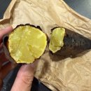 과천캠프닉데이(1차) | 2025 과천 캠프닉데이 후기