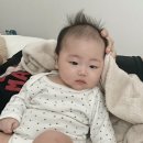 멍발머리 이미지