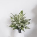 주정차046 이미지